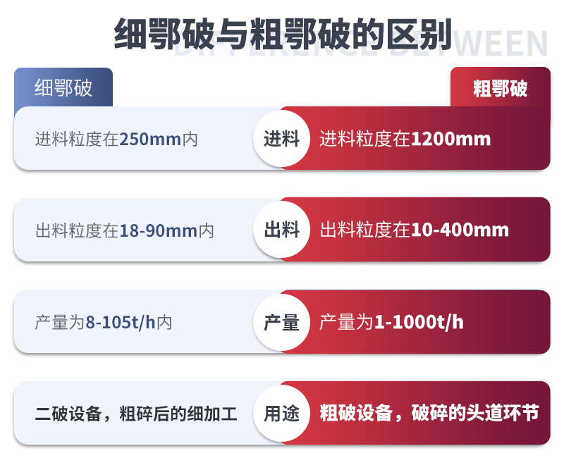  細顎和粗鄂的區(qū)別